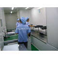 Ground chain spray coating lines